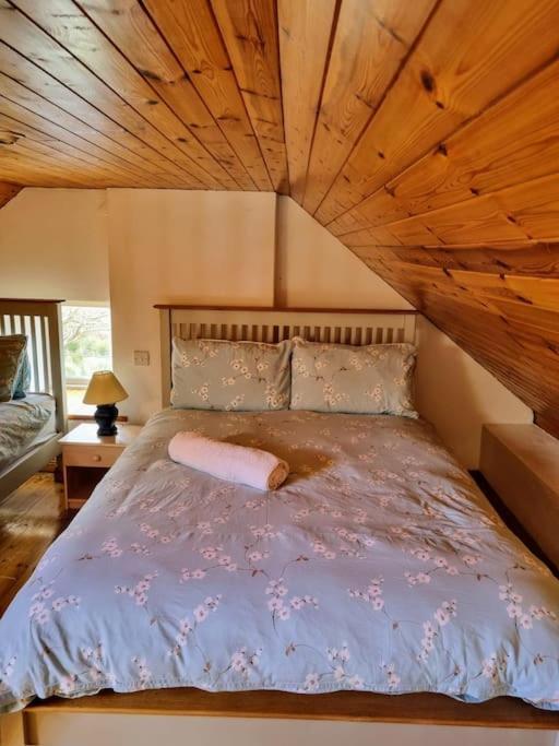 Cottage Skelligs Coast, Ring Of Kerry Cahersiveen Buitenkant foto