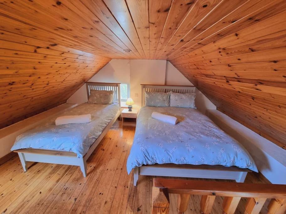 Cottage Skelligs Coast, Ring Of Kerry Cahersiveen Buitenkant foto